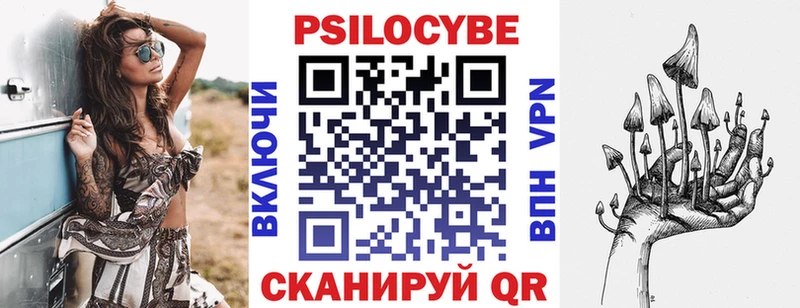 Псилоцибиновые грибы Cubensis  Городовиковск 