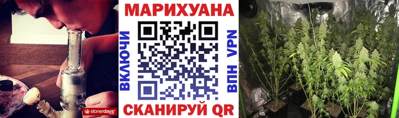 Марихуана сатива  Городовиковск 